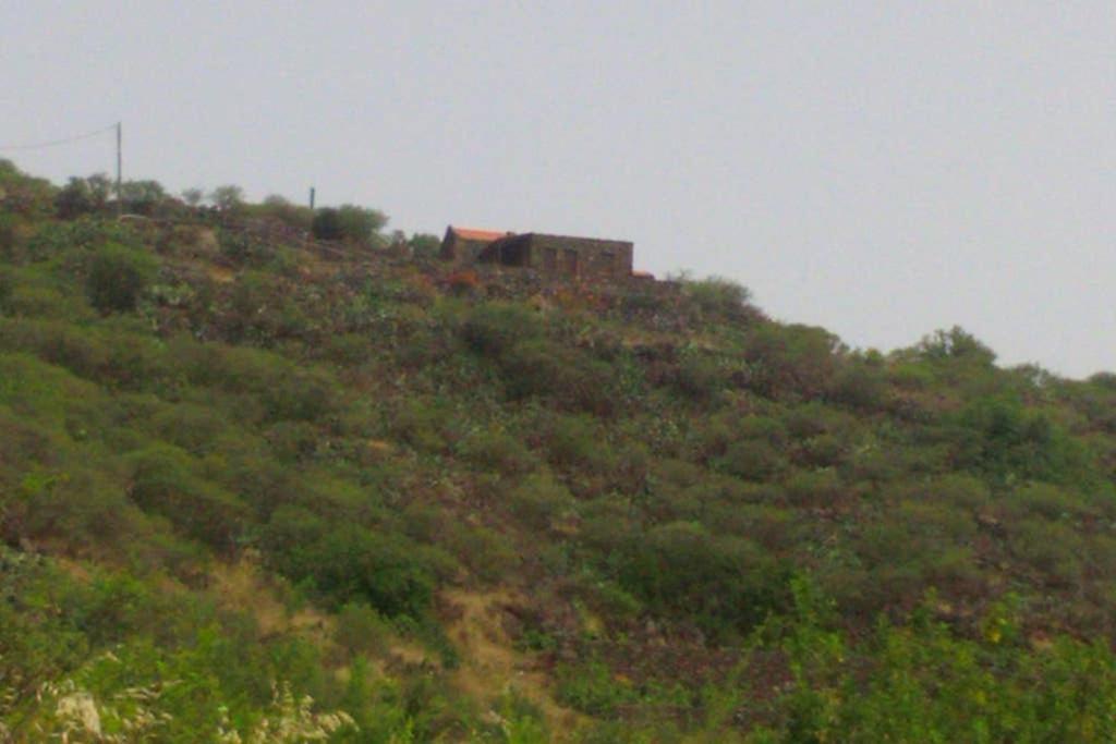 Casa Rural La Casa De La Lima Las Rosas  Exterior foto